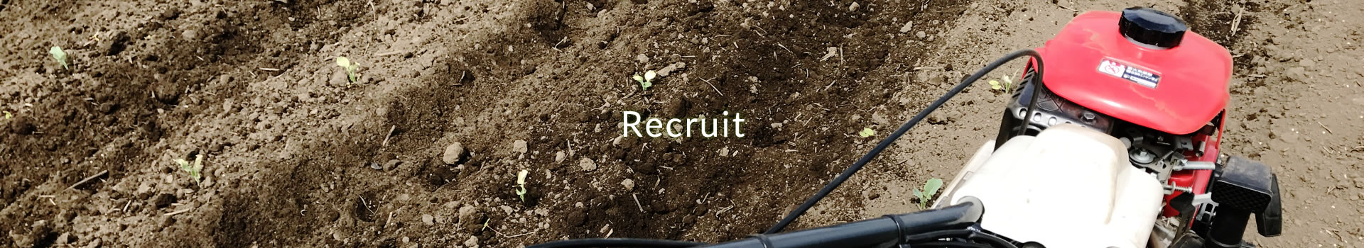 Recruit