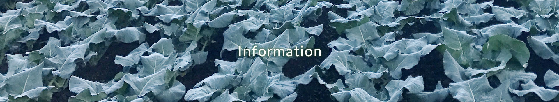 Information